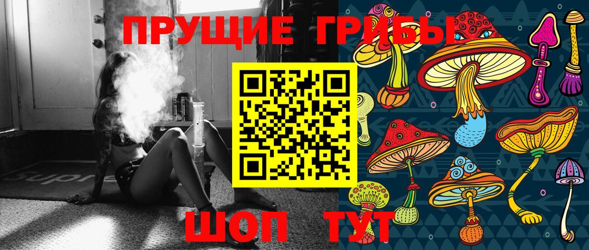 Кимовск  Галлюциногенные грибы мухоморы  Вход с VPN 